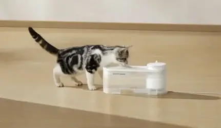 Gyvūnų vandens girdyklė