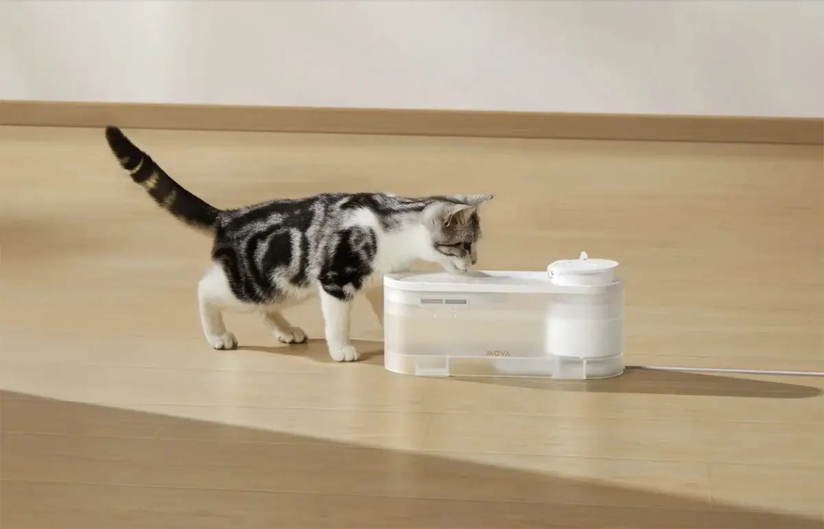 Gyvūnų vandens girdyklė