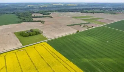 Valstybinės žemės pardavimo aukcionai