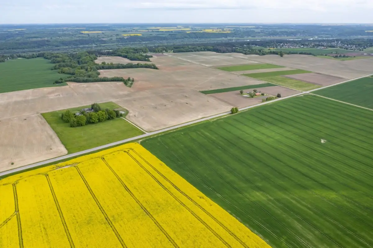 Valstybinės žemės pardavimo aukcionai