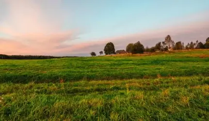 Sklypas namo statybai