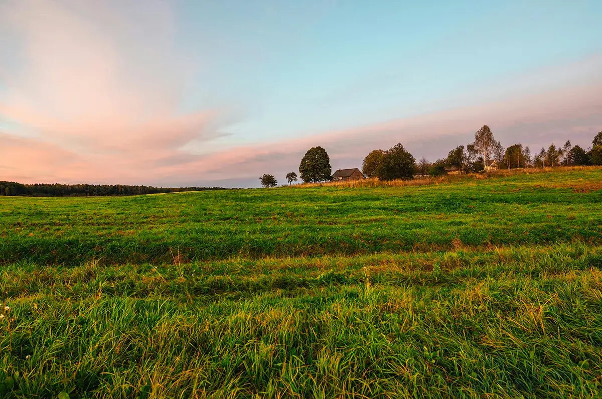 Sklypas namo statybai