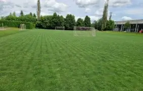 Futbolo akštynų vejos priežiūra