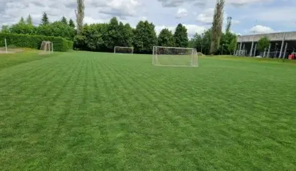 Futbolo akštynų vejos priežiūra