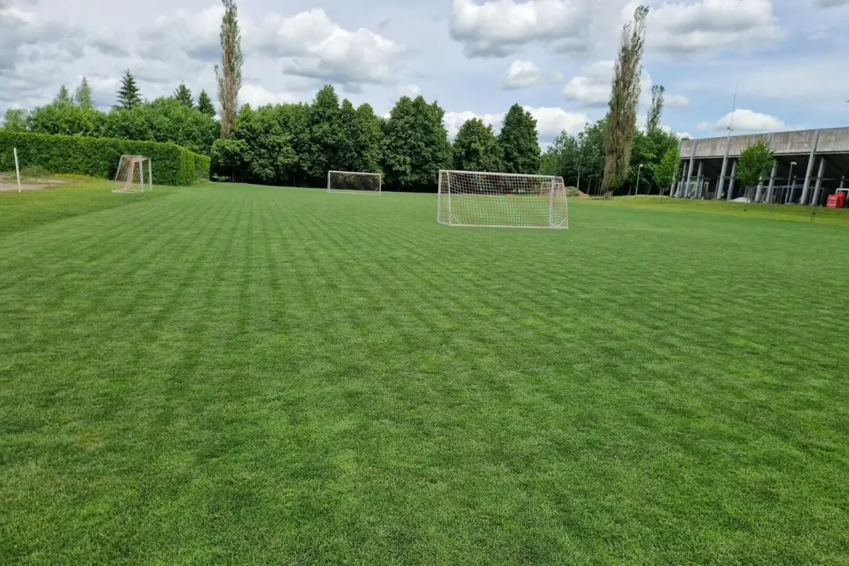 Futbolo akštynų vejos priežiūra